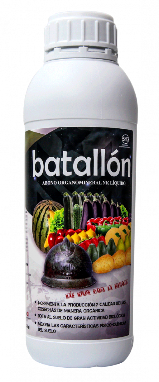 Batallón de 1L