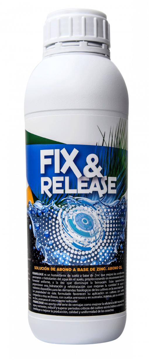 Fix Release en 1L