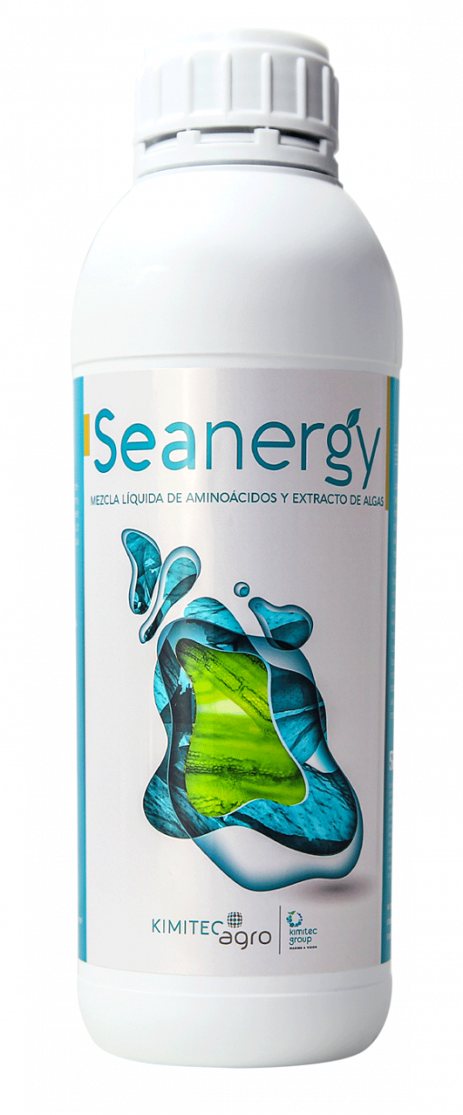 Seanergy en envase de 1L