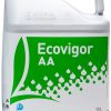 ECOVIGOR AA, es un bioestimulante de origen vegetal