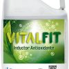 VITALFIT, inductor antioxidante